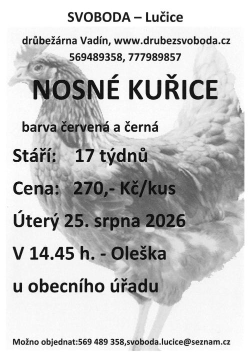 Prodej kuřic 25.8.2026 - Oleška